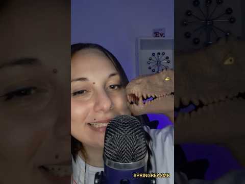 ASMR | 🦖 Gatilhos favoritos nas lives! Parte 2 ☺️