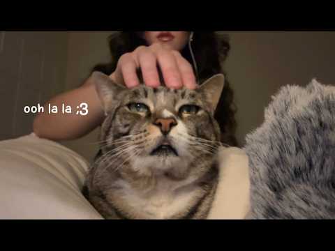 giving my cat (and u) tingles (asmr)