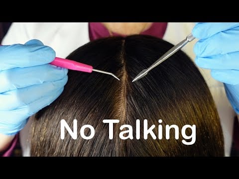 ASMR 1 HOUR ~ Gentle Scalp Check ~ Sleep, Study, Focus ~ NO TALKING Just Sounds