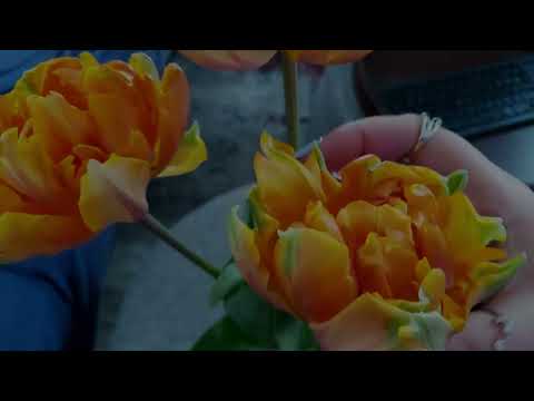 COMMENT YOUR NAME CHAOTIC FAST AGGRESSIVE ASMR FOR AN UPCOMING NAME VIDEO