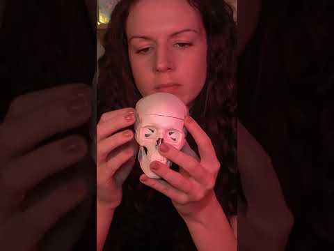 ASMR Skull Tapping/Scratching #asmr #asmrsounds #asmrtapping