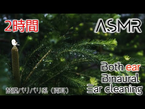 【ASMR/Ear Cleaning/Binaural】刺激強めのパリパリ耳かき2時間【両耳版/耳かき/イヤホン必須】