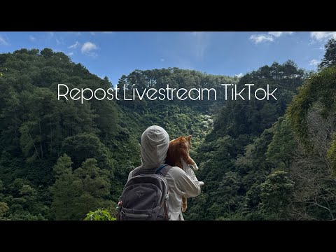 Repost Livestream TikTok!✨🐈