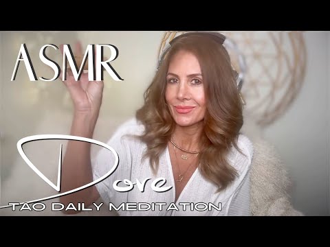 DOVE  ☯️ ASMR Tao Daily Meditation✨ DAY 247