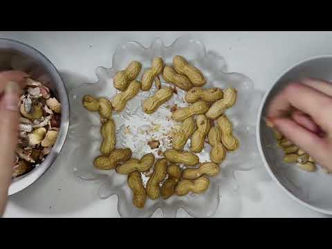 ASMR Cracking Peanuts (No Talking)