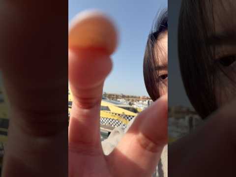 Camera tapping outside. #tapping #asmr #visualasmr #tingles #kuwait #salmiya