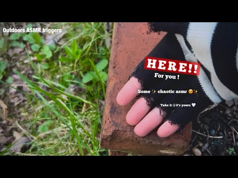 Quick nonesense ASMR in my backyard (Lofi) | Background asmr?