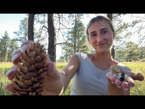 ASMR show and tell outdoors