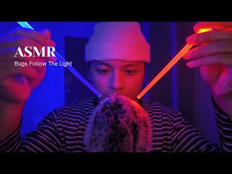 ASMR I Found Bugs With a Lightsaber