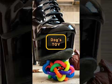 Pea vs. Dog's Toy! Boots Crushing Things! Oddly Satisfying ASMR