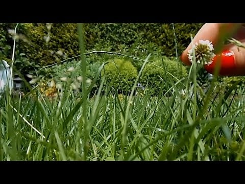 Motivational ASMR Morning Talk / Ear to Ear Soft Spoken