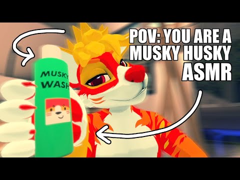 [Furry ASMR] POV: You are a MUSKY HUSKY and you're getting washed (soft-spoken) 🛀🧽