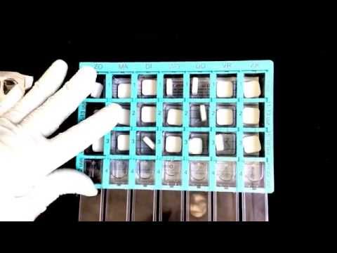 Latex Glove Layering & Prepare Medicine Box [[ASMR]]