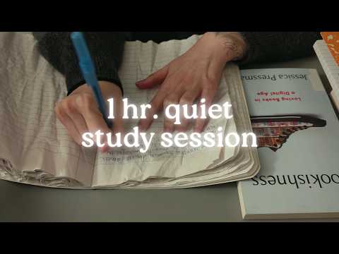 [cozy asmr] chill night for a study session | study with me, no music, no talking asmr, 1 hour