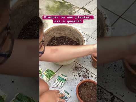 Colocando a mão na massa!