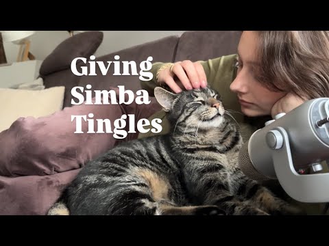 ASMR with My Cat Simba 🤍 | He LOVES Attention | Brushing & Purring Sounds
