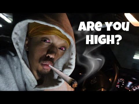 (ASMR) Are You High?