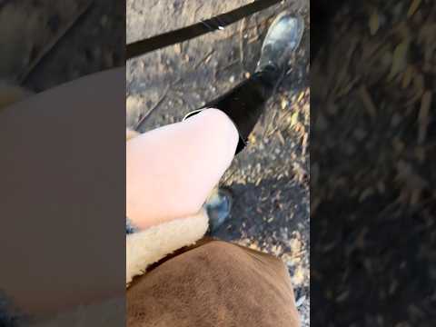 ASMR mit einer rosa Strumpfhose. Kommst du mit spazieren? 🚶‍♀️
