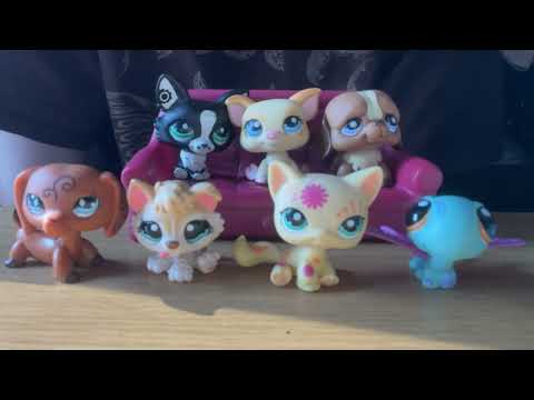 ASMR | lps seller