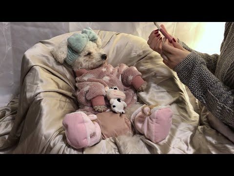 Winter Relaxation ASMR | Tapping, Brushing, Cuteness