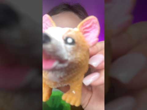 Dog licking #asmr
