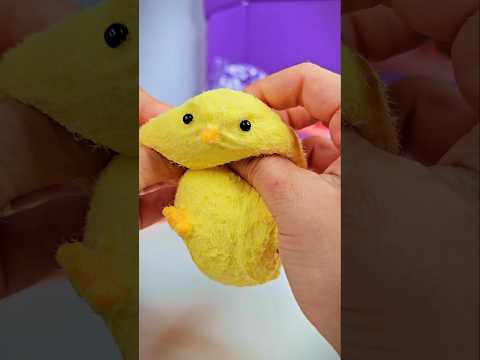 TABA SQUISHY ASMR 🐤 #asmr #squishytoy #squishysounds