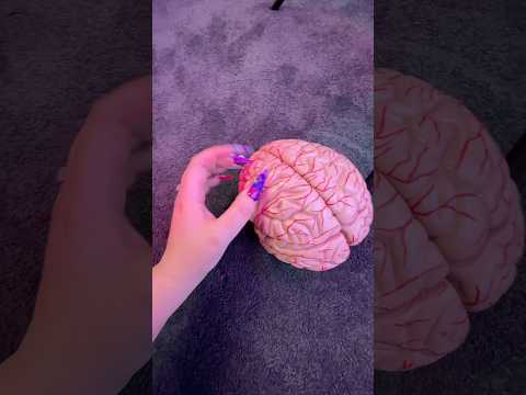 Scratching your brain (yes this is your brain!!!) ASMR