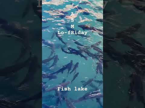 Lo-fRiday ASMR 🌙 Fish lake #balıklıgöl #lofiasmr #publicasmr #waterssounds