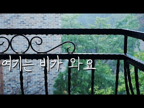 마음이 편안해지는 장대비 ASMR ｜Relaxing BGM + Rain sound 2 Hours｜NO Talking 24:37~