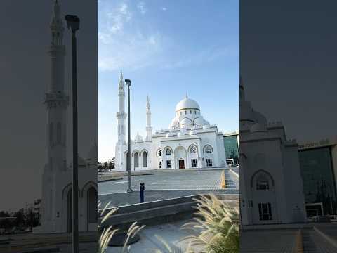 I Found A Beautiful Mosque In Dubai 🕌😭 #shorts