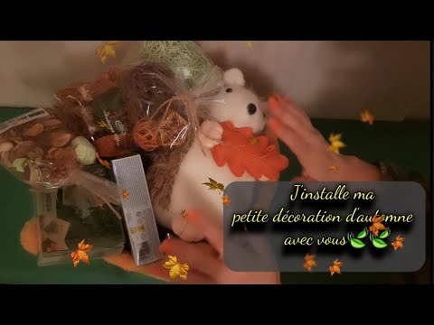 Asmr français, J'installe ma petite décoration d'automne avec vous🍃🍃.
