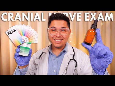 ASMR | The Chillest Cranial Nerve Exam | Cure Your Insomnia