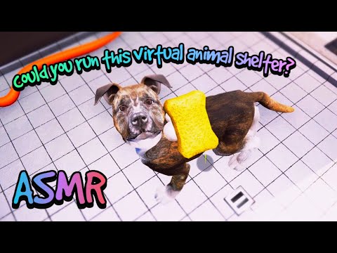 ASMR | I've been waiting for a game like this! 🐱 Animal Shelter Simulator 🐶 Close up whispers
