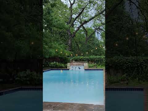 This may be my favorite place on earth. #asmr #rainsounds