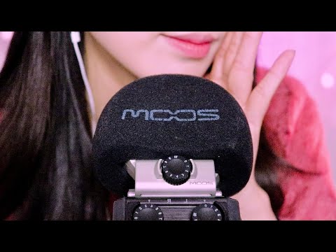 ASMR 입 아프게 단어반복했으니까 한 번은 우려먹어도 괜찮겠지? (노토킹, 레이어드 Ver.)