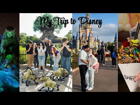 ASMR Disney World trip 4parks ✨(ramble, pin collection) 