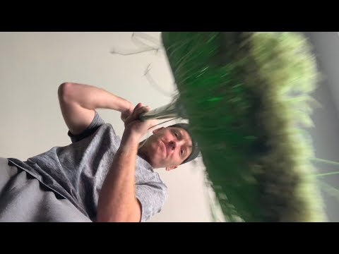 ASMR Beating the Camera - Beating You | Silent Bob ASMR - Kevin Smith ASMR