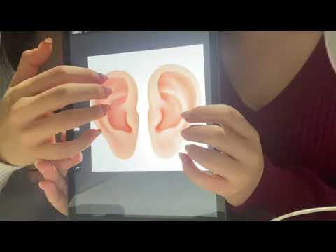 ASMR EAR CONSULT 🍀