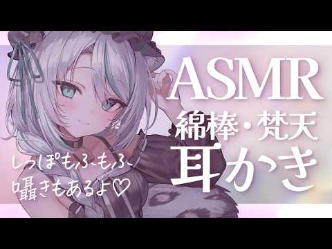 【🔴ASMR #KU100】囁き耳かきASMR｜ear cleaning & Whisper【 #雪豹メイドお給仕中 】