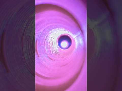 {ASMR} DO YOU SEE GREEN #asmr #shorts #shortsfeed #shortsvideo #asmrtriggers #reels #explore