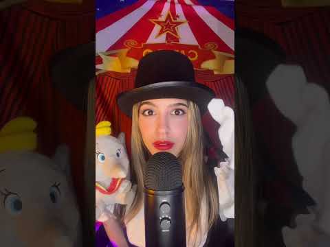 POV: VOCÊ FOI NO CIRCO