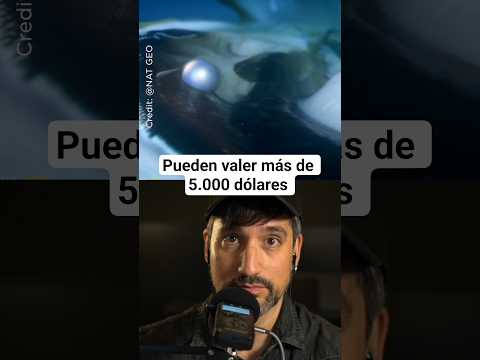 ¿Cómo crear PERLAS? 🤑🤑🤑