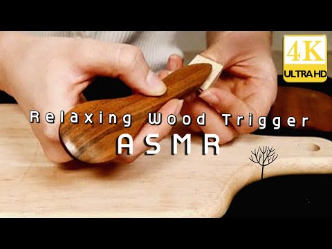 ASMR 4K 🌳나무소리만 듣고 팅글 느낀 건 처음일걸요?🌳 #WOOD #ASMR