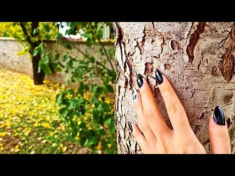 ASMR In Our Backyard / Autumn 🍂🍃