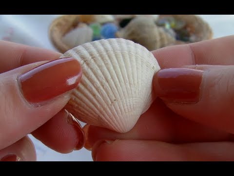 ASMR. Shells & Marbles with Nature Sounds