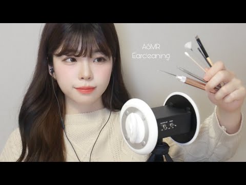 1시간 귀청소 ASMR│까드득,바스락,딱딱,건조 취향따라 듣는 팅글 귀청소│Various Tingle Earcleaning