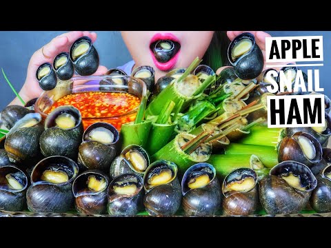 ASMR EATING APPLE SNAIL X SNAIL HAM IN BAMBOO TUBE , EATING SOUNDS LINH ASMR