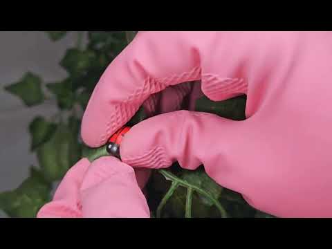 asmr bugs 🐞 pest control role play you will sleep