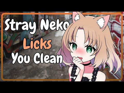 stray neko bathes you [F4A] [neko listener] [ear licks] [scrubbing] [playful]