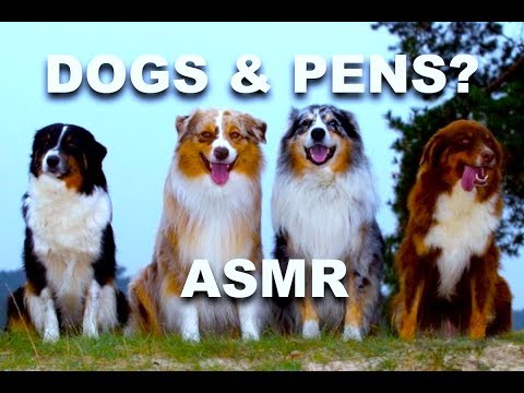 Dogs and Fountain Pens? Pen ASMR